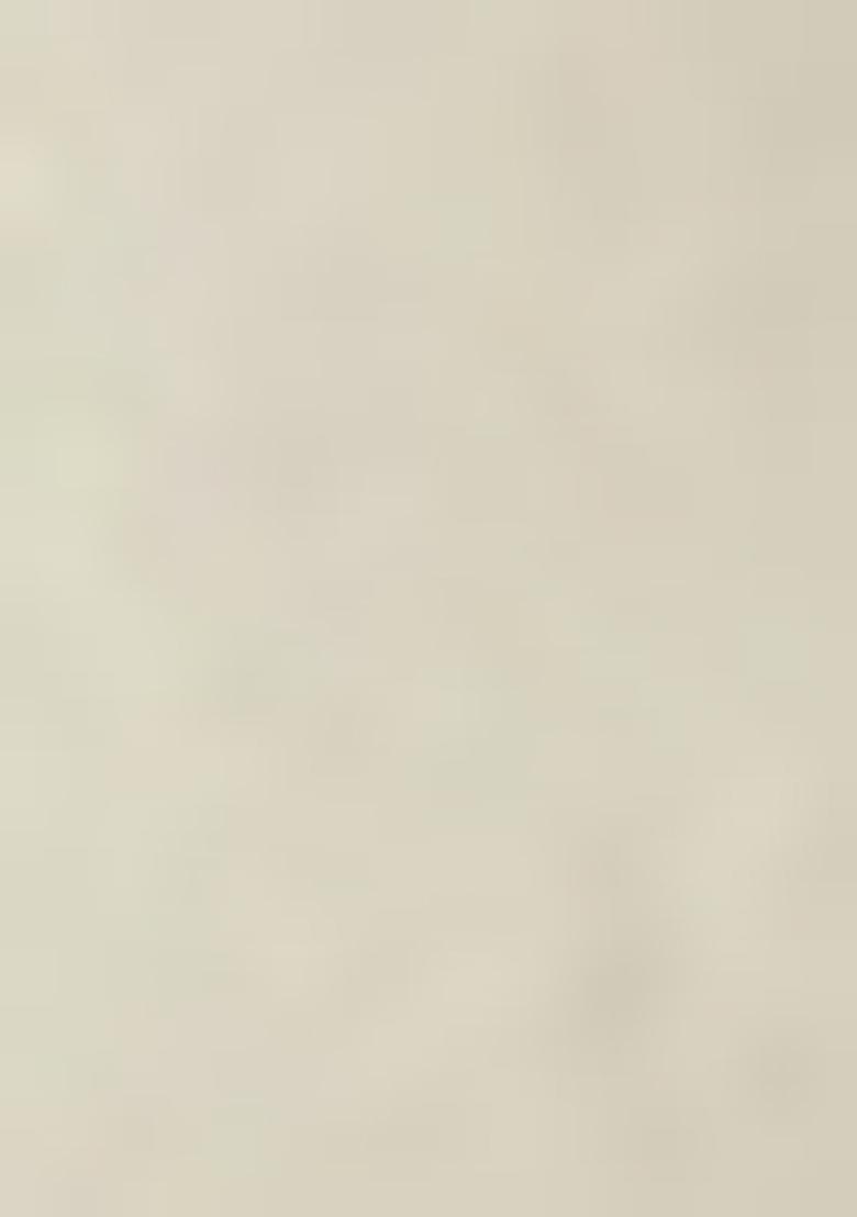 Peacock Embroidered Cotton Lehenga Set With Dupatta