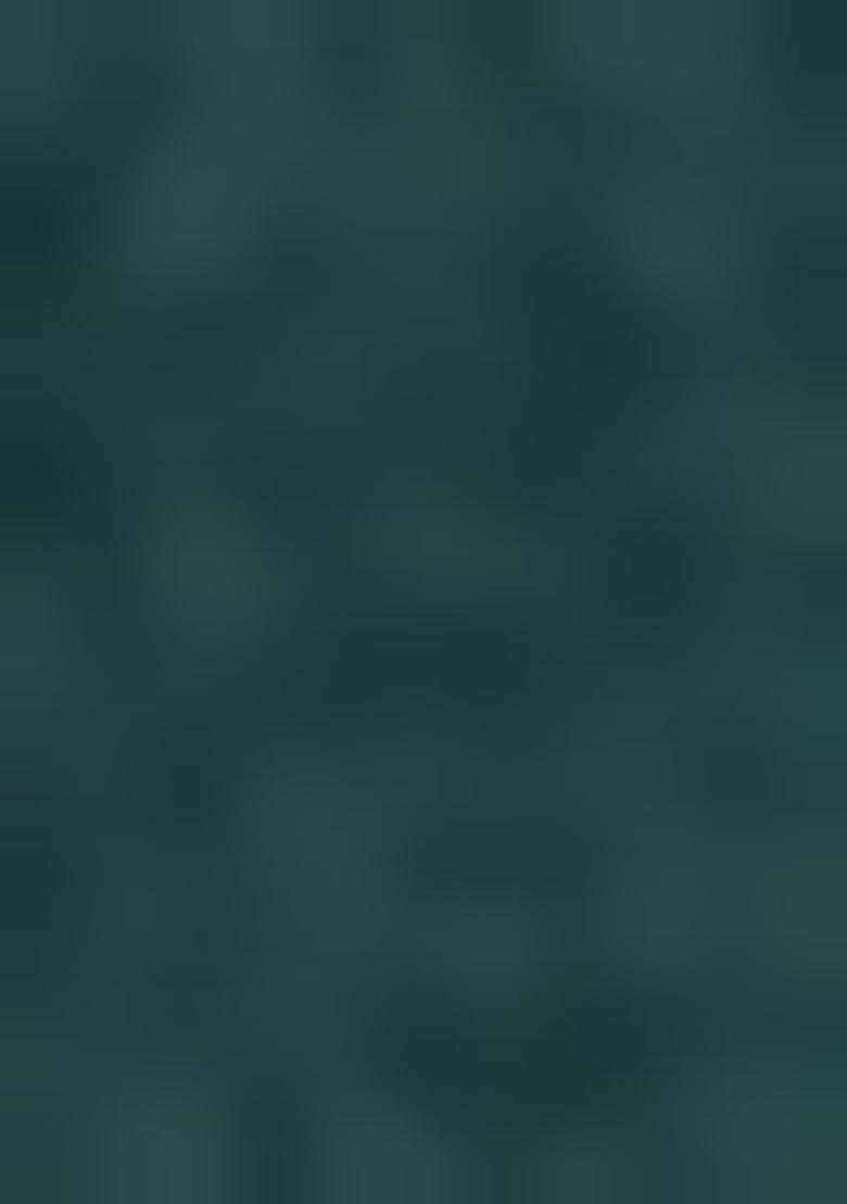 Green Embroidered Silk Lehenga Set With Dupatta