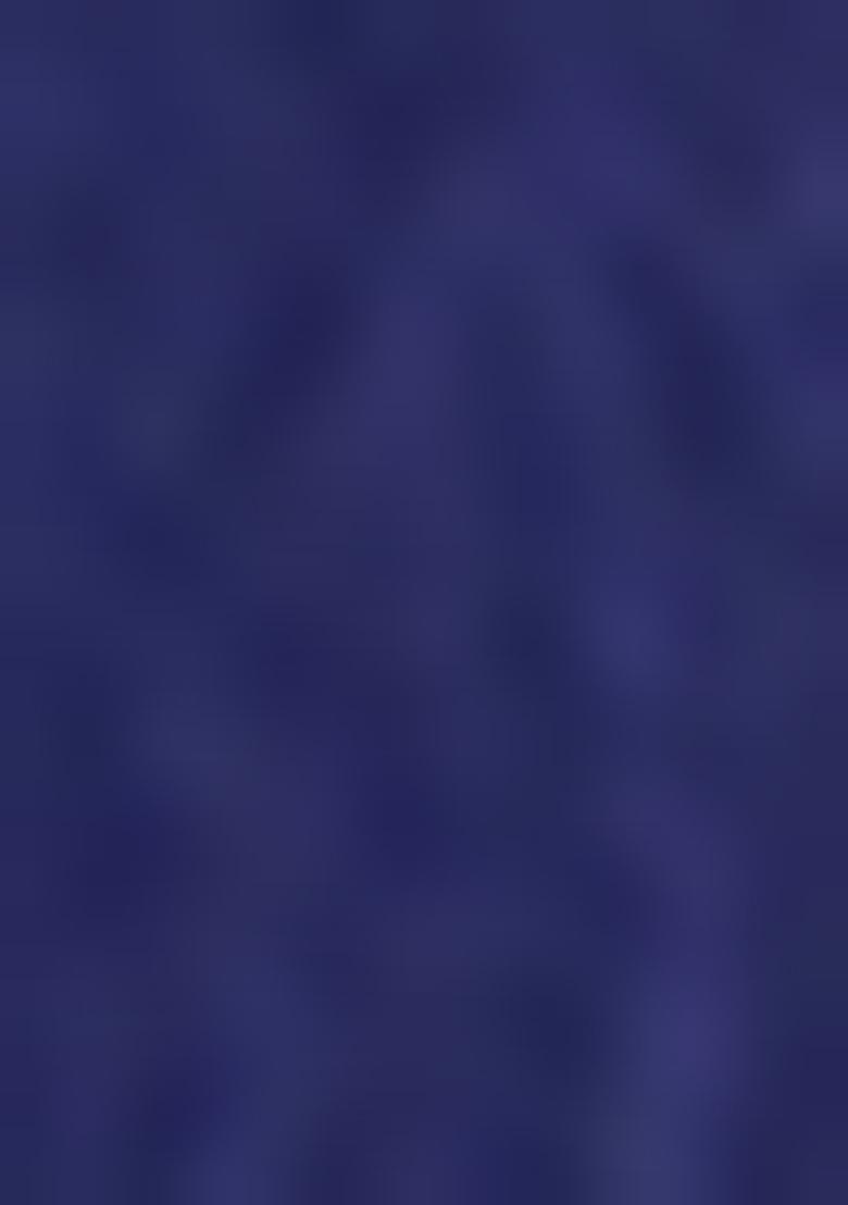 Blue Embroidered Silk Lehenga Set With Dupatta