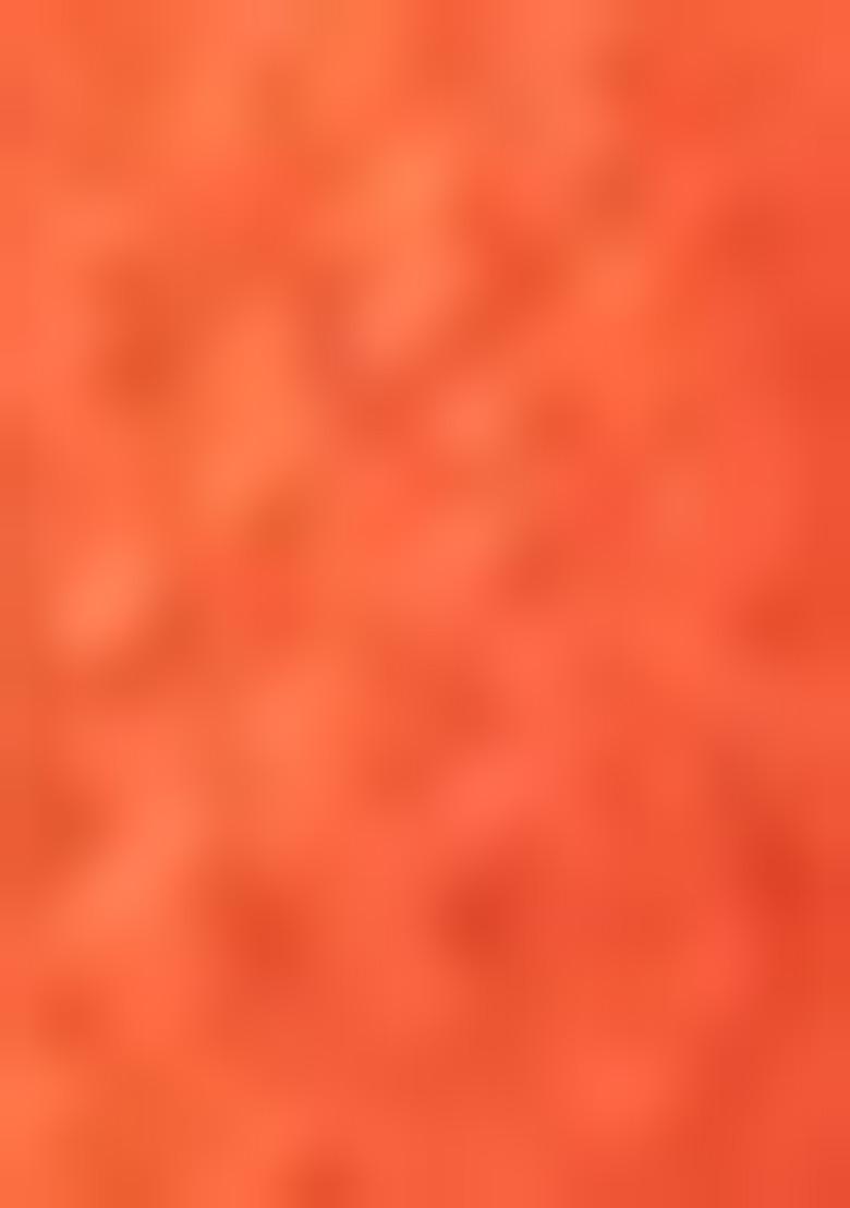 Orange Embroidered Silk Lehenga Set With Dupatta