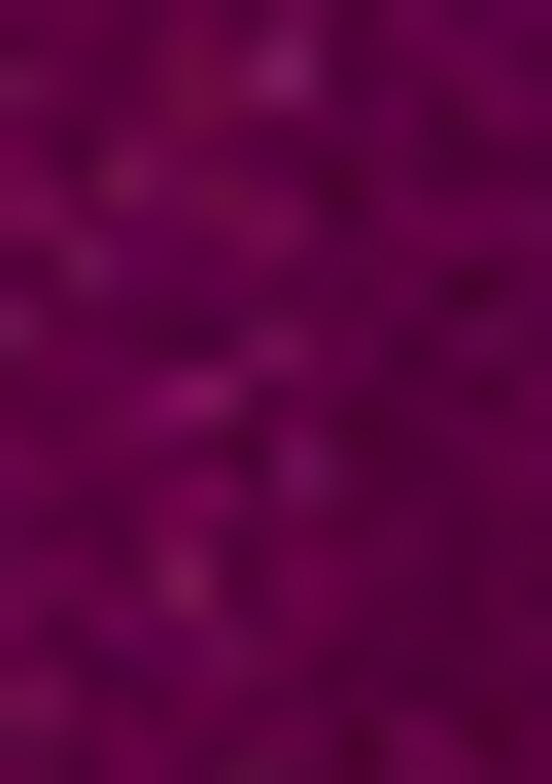 Wine Embroidered Silk Lehenga Set With Dupatta