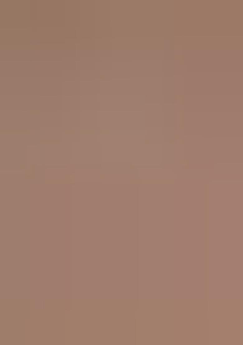 Light Brown Embroidererd Silk Lehenga Set With Dupatta