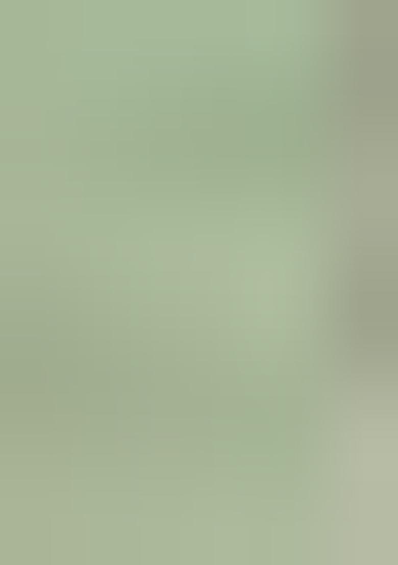 Pista Green Embroidererd Silk Lehenga Set With Dupatta