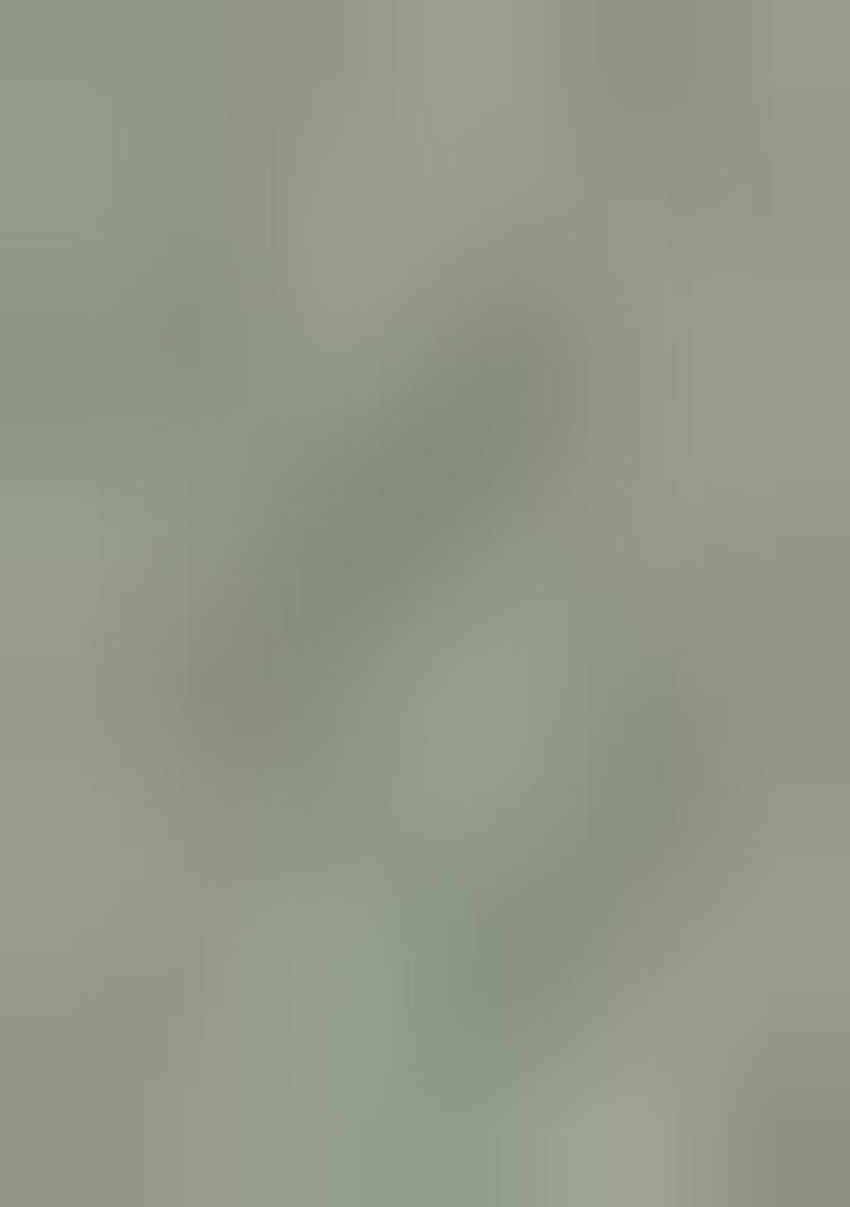 Green Embroidered Net Lehenga Set With Dupatta