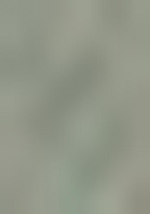 Green Embroidered Net Lehenga Set With Dupatta