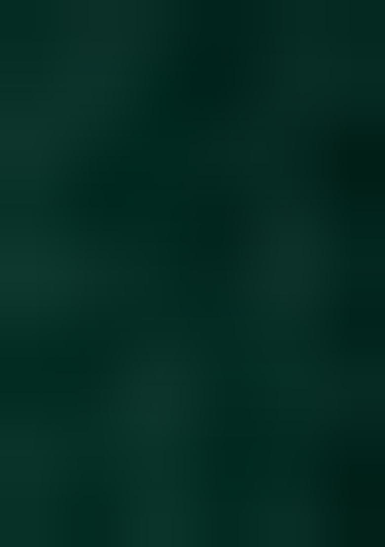 Green Embroidered Net Lehenga Set With Dupatta