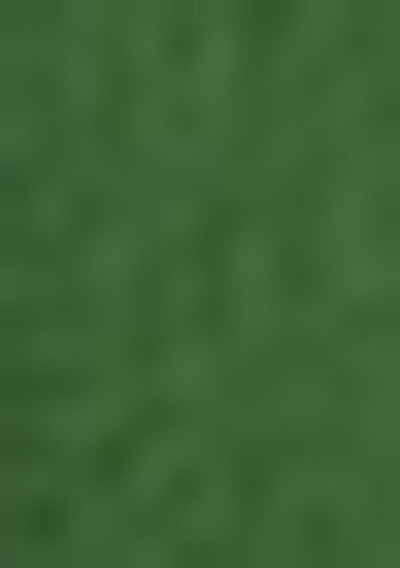 Green Embroidered Net Lehenga Set With Dupatta