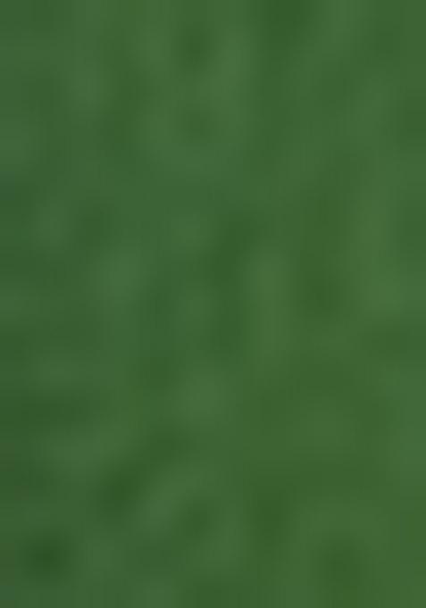 Green Embroidered Net Lehenga Set With Dupatta