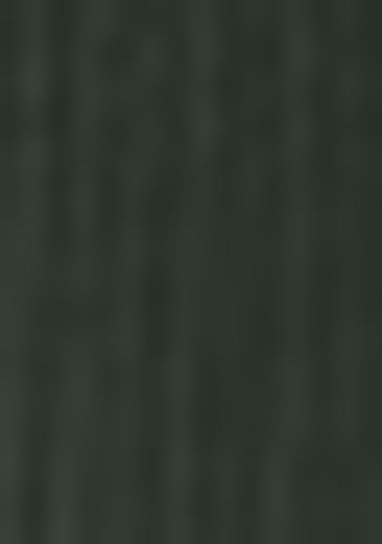 Green Embroidered Net Lehenga Set With Dupatta