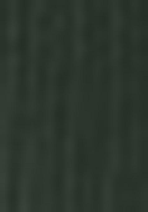 Green Embroidered Net Lehenga Set With Dupatta