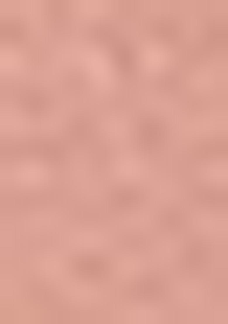 Peach Embroidered Net Lehenga Set With Dupatta