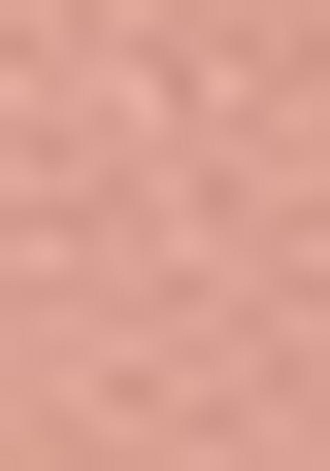 Peach Embroidered Net Lehenga Set With Dupatta