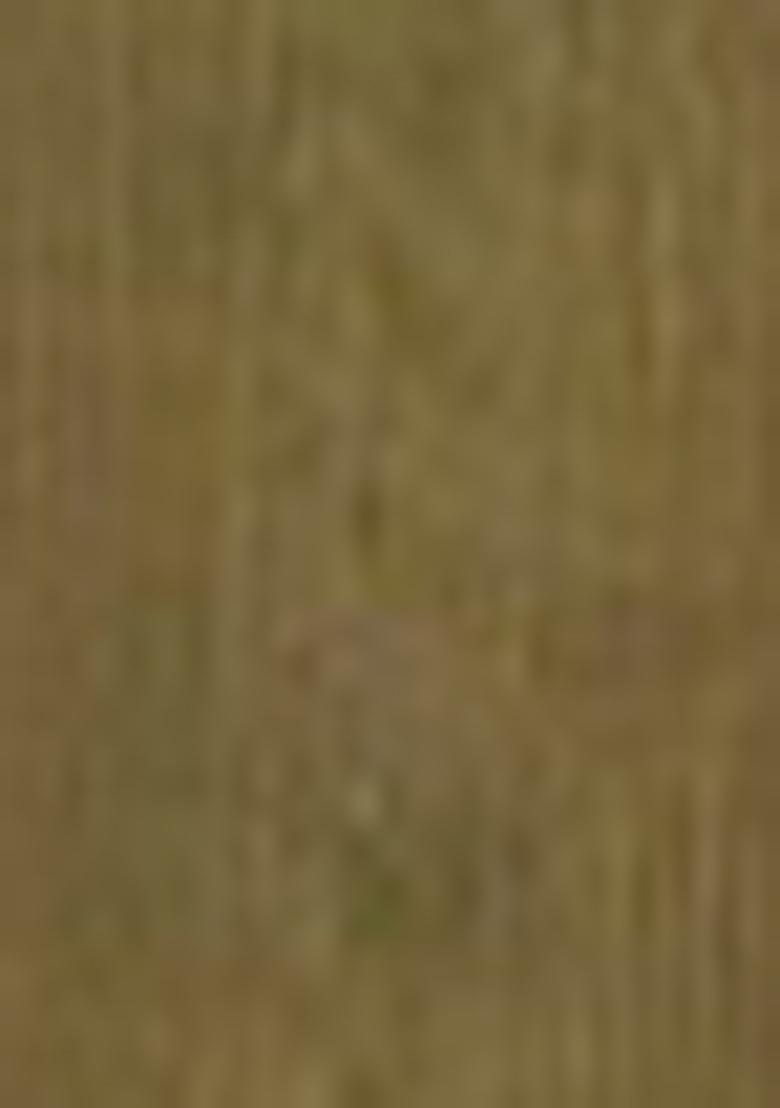 Mehndi Green Embroidered Net Lehenga Set With Dupatta