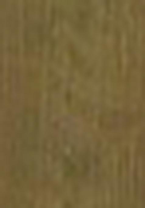 Mehndi Green Embroidered Net Lehenga Set With Dupatta