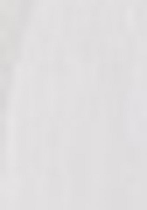 Off White Embroidered Net Lehenga Set With Dupatta