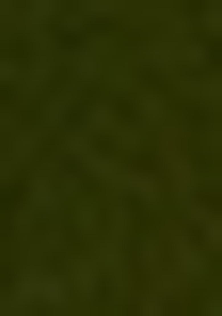 Green Embroidered Net Lehenga Set With Dupatta