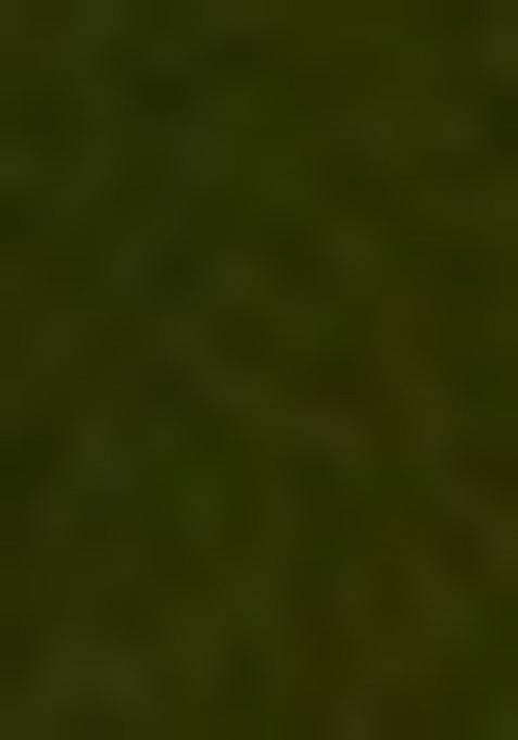 Green Embroidered Net Lehenga Set With Dupatta