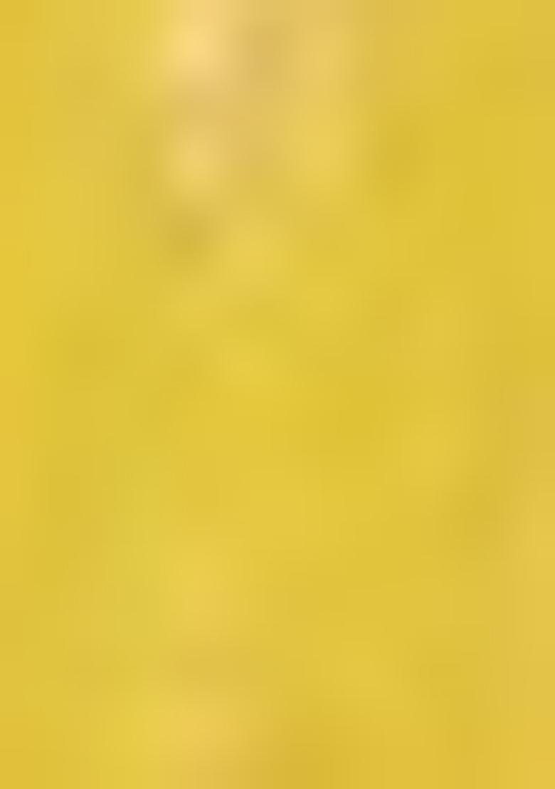 Multicolor Embroidererd Georgette Lehenga Set With Dupatta