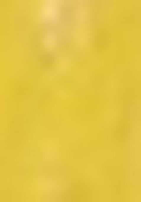 Multicolor Embroidererd Georgette Lehenga Set With Dupatta