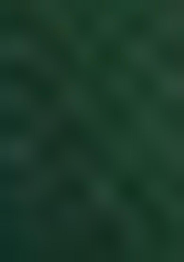 Multicolor Embroidererd Silk Lehenga Set With Dupatta