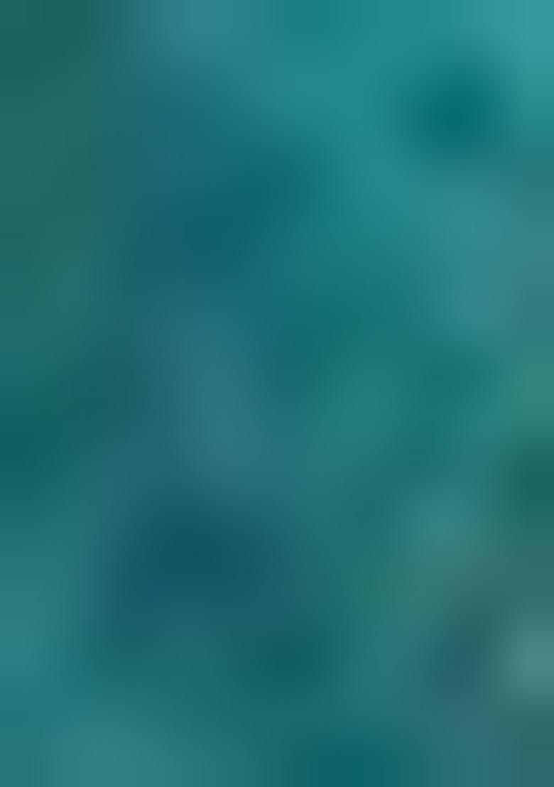 Multicolor Embroidererd Silk Lehenga Set With Dupatta