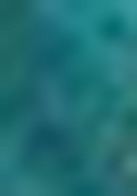 Multicolor Embroidererd Silk Lehenga Set With Dupatta