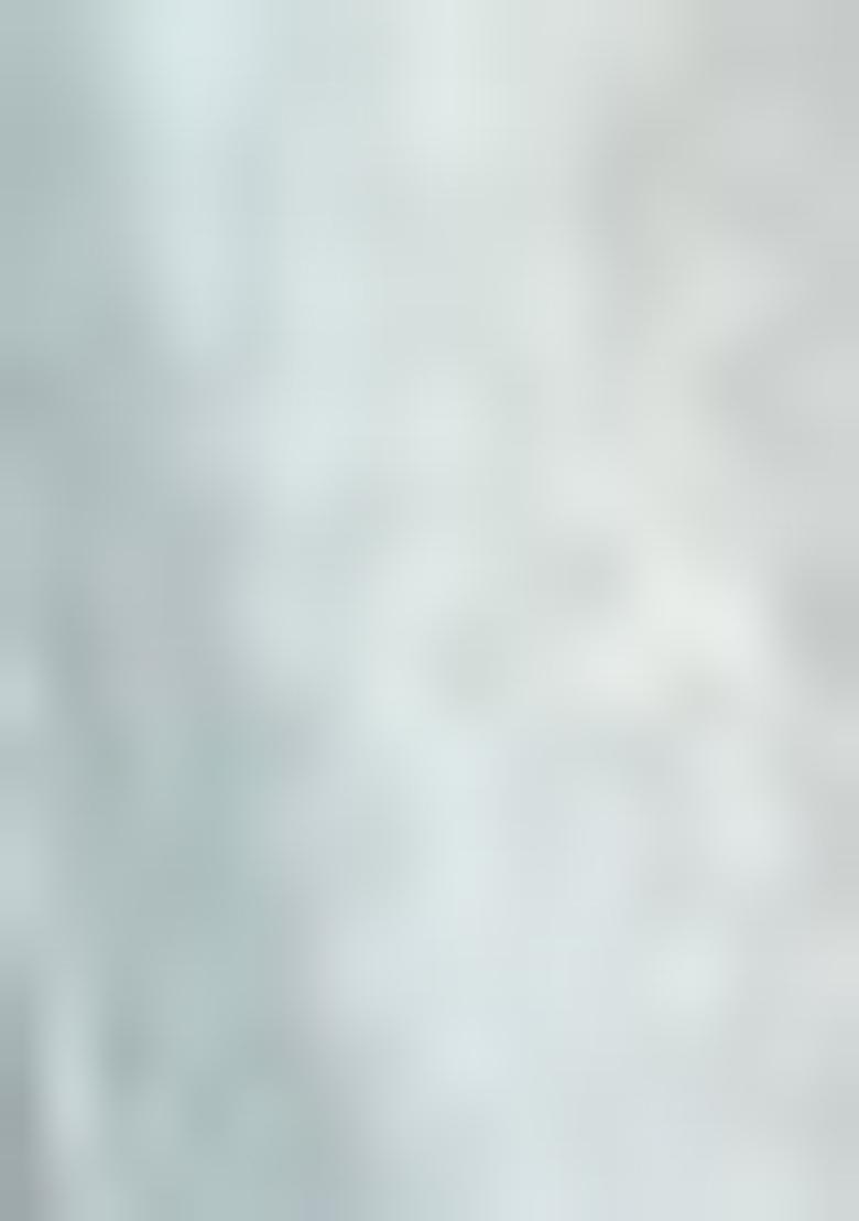 Multicolor Embroidererd Silk Lehenga Set With Dupatta