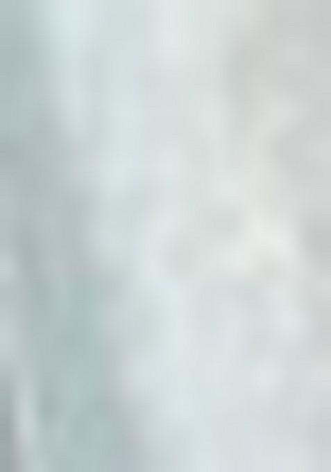 Multicolor Embroidererd Silk Lehenga Set With Dupatta