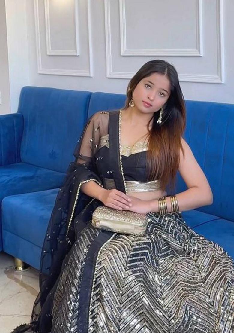 Multicolor Embroidererd Georgette Lehenga Set With Dupatta