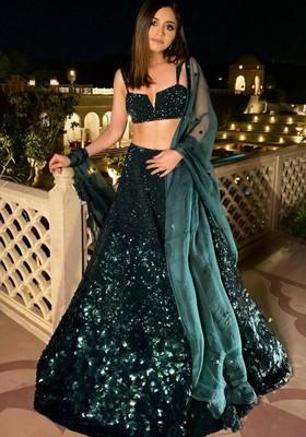 Multicolor Embroidererd Georgette Lehenga Set With Dupatta