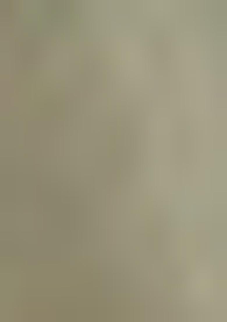 Multicolor Embroidererd Georgette Lehenga Set With Dupatta