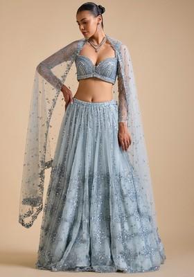 Multicolor Embroidererd Georgette Lehenga Set With Dupatta