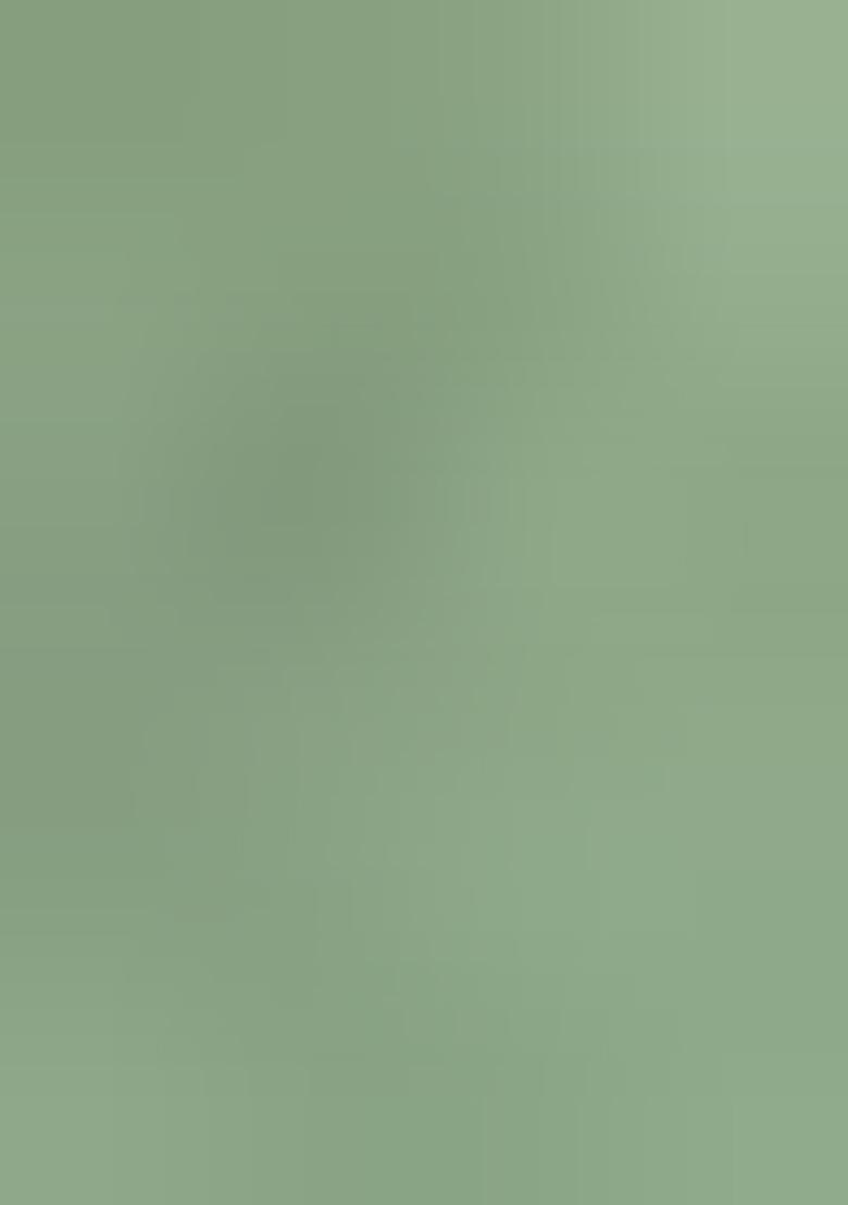 Multicolor Embroidererd Silk Lehenga Set With Dupatta