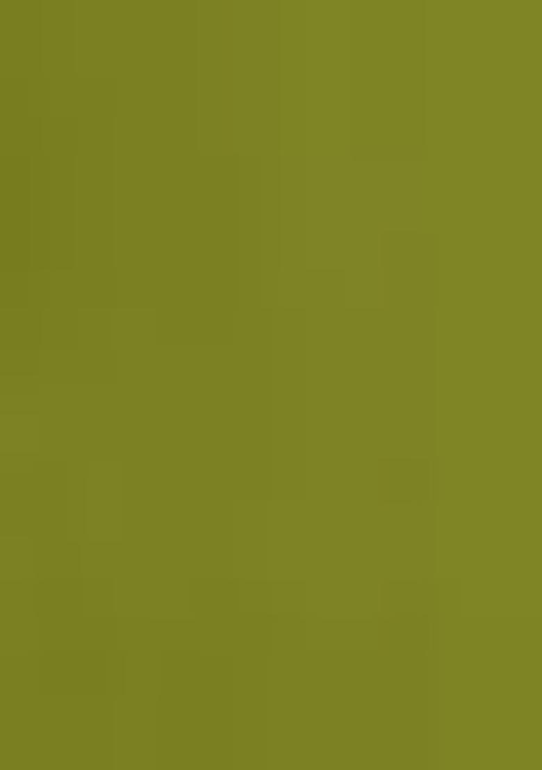 Green Embroidererd Silk Lehenga Set With Dupatta