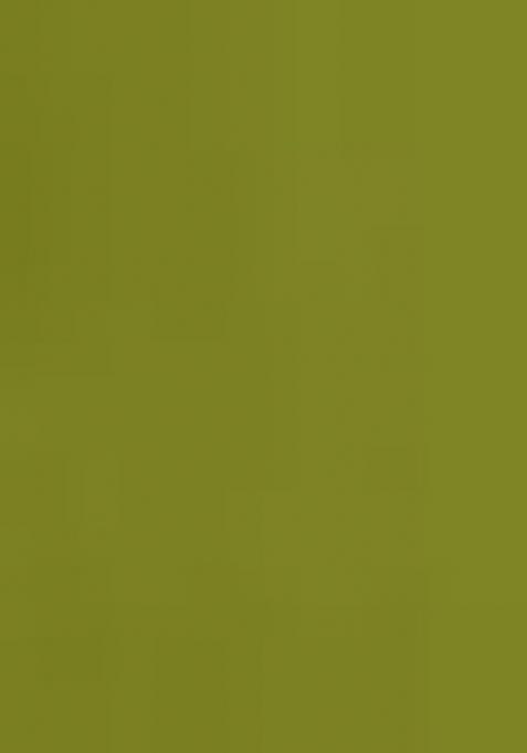 Green Embroidererd Silk Lehenga Set With Dupatta