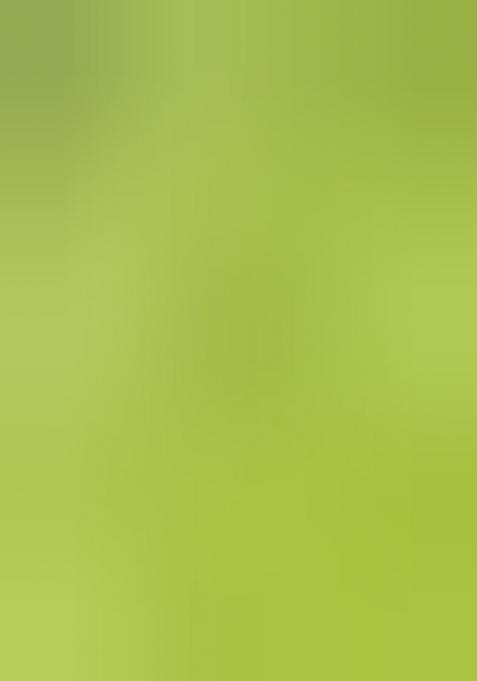 Green Embroidererd Silk Lehenga Set With Dupatta