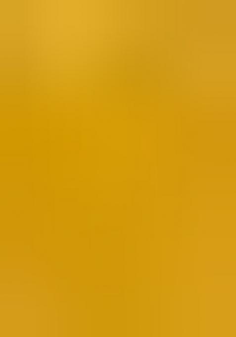 Yellow Embroidererd Georgette Lehenga Set With Dupatta