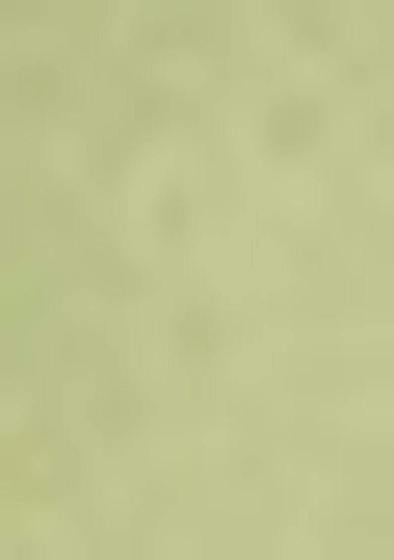 Sea Green Embroidererd Georgette Lehenga Set With Dupatta