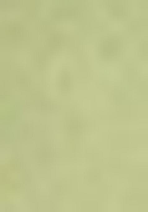 Sea Green Embroidererd Georgette Lehenga Set With Dupatta