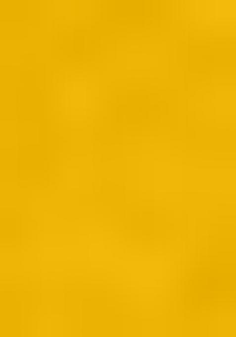 Yellow Embroidererd Georgette Lehenga Set With Dupatta