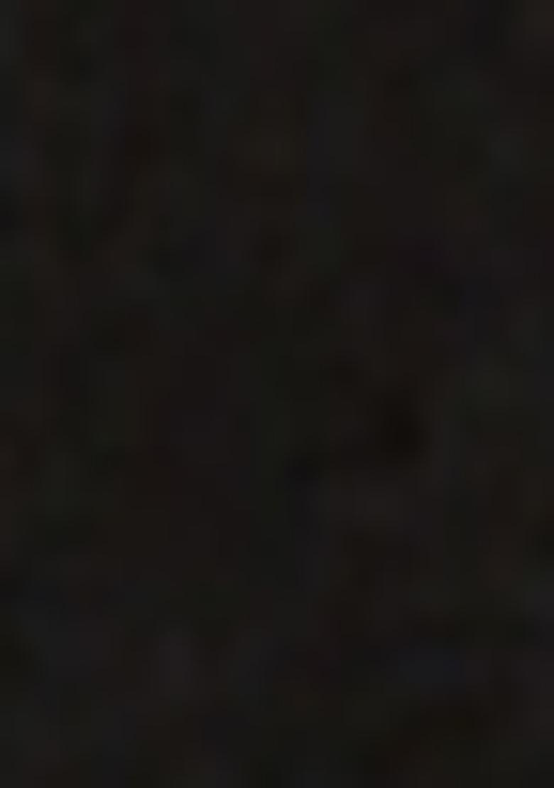 Black Embroidererd Georgette Lehenga Set With Dupatta