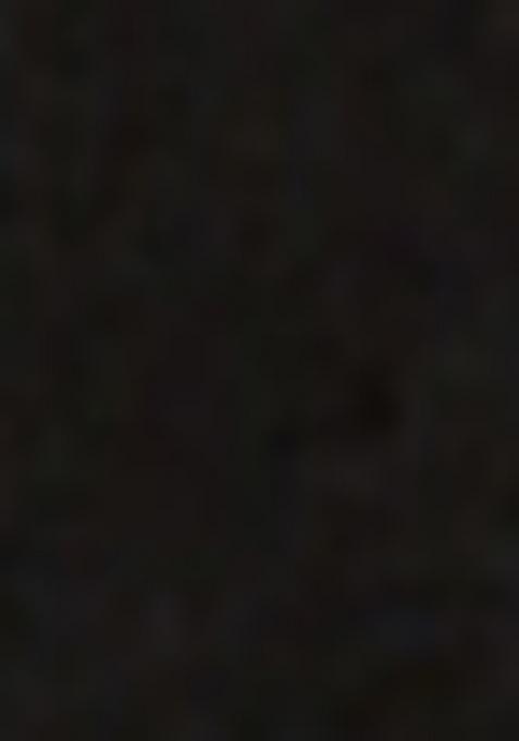 Black Embroidererd Georgette Lehenga Set With Dupatta