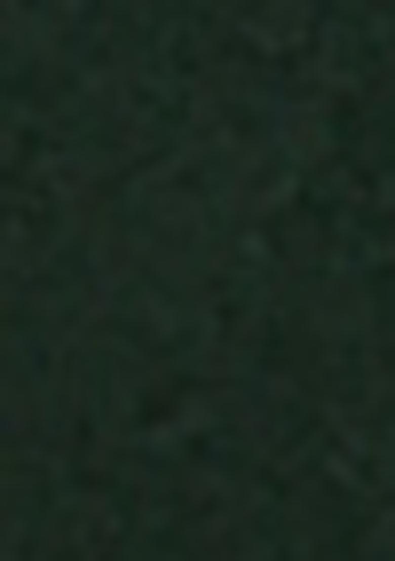 Green Embroidererd Georgette Lehenga Set With Dupatta