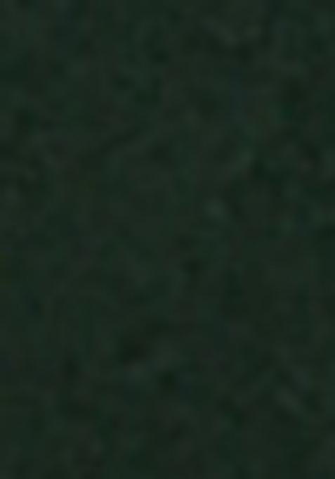 Green Embroidererd Georgette Lehenga Set With Dupatta