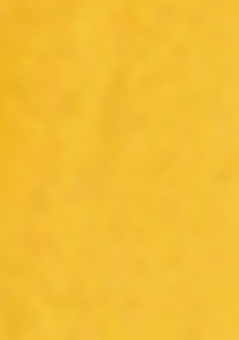 Mustard Yellow And Green Embroidererd Cotton Lehenga Set With Dupatta