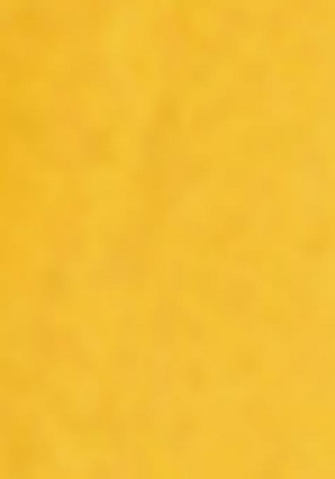 Mustard Yellow And Green Embroidererd Cotton Lehenga Set With Dupatta