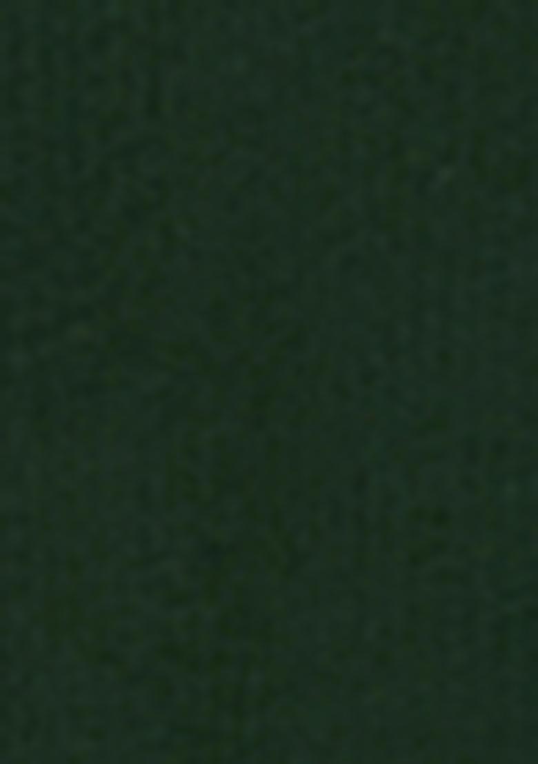 Green Embroidererd Georgette Lehenga Set With Dupatta