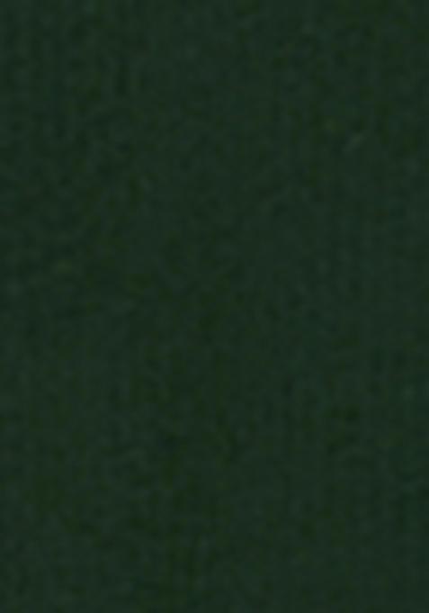 Green Embroidererd Georgette Lehenga Set With Dupatta