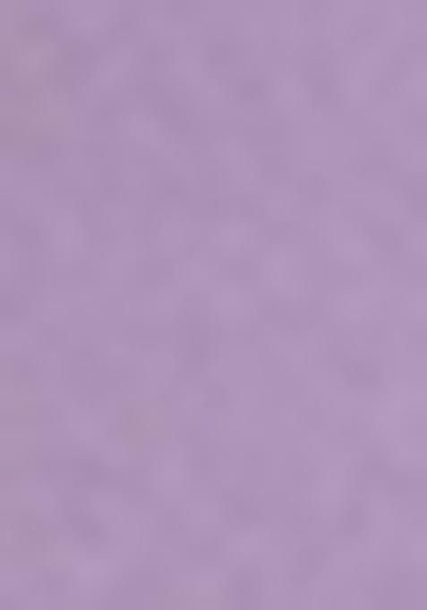 Light Purple Thread Embroidered Butterfly Net Lehenga Set