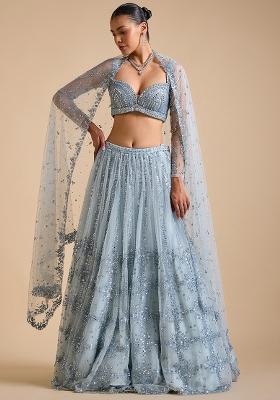 Multi Color Sequins Embroidery Work Net Lehenga Set